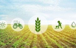 ratul puri farming vission